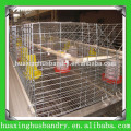 hot sale and professional day old chick cage